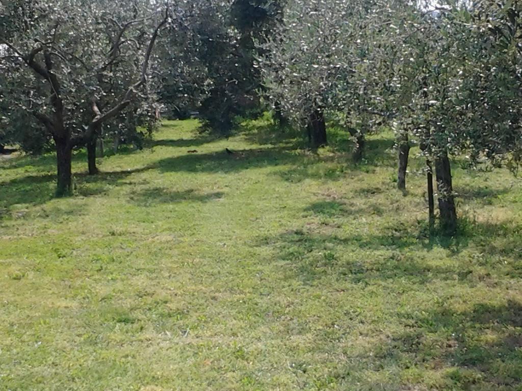 Agriturismo Corte Galvani Неґрар Екстер'єр фото